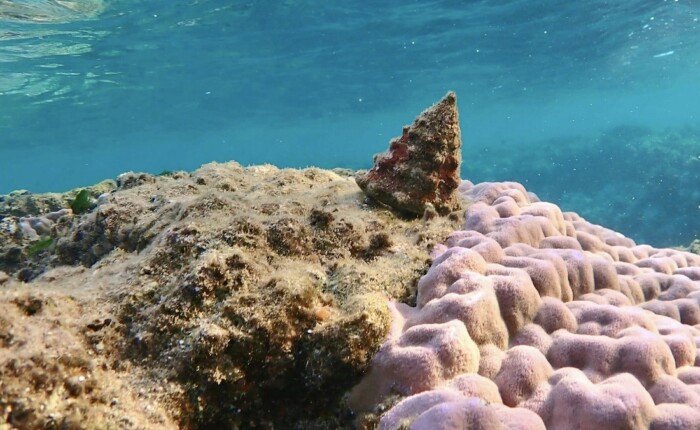 15-Day Charming Egypt Holiday From UK