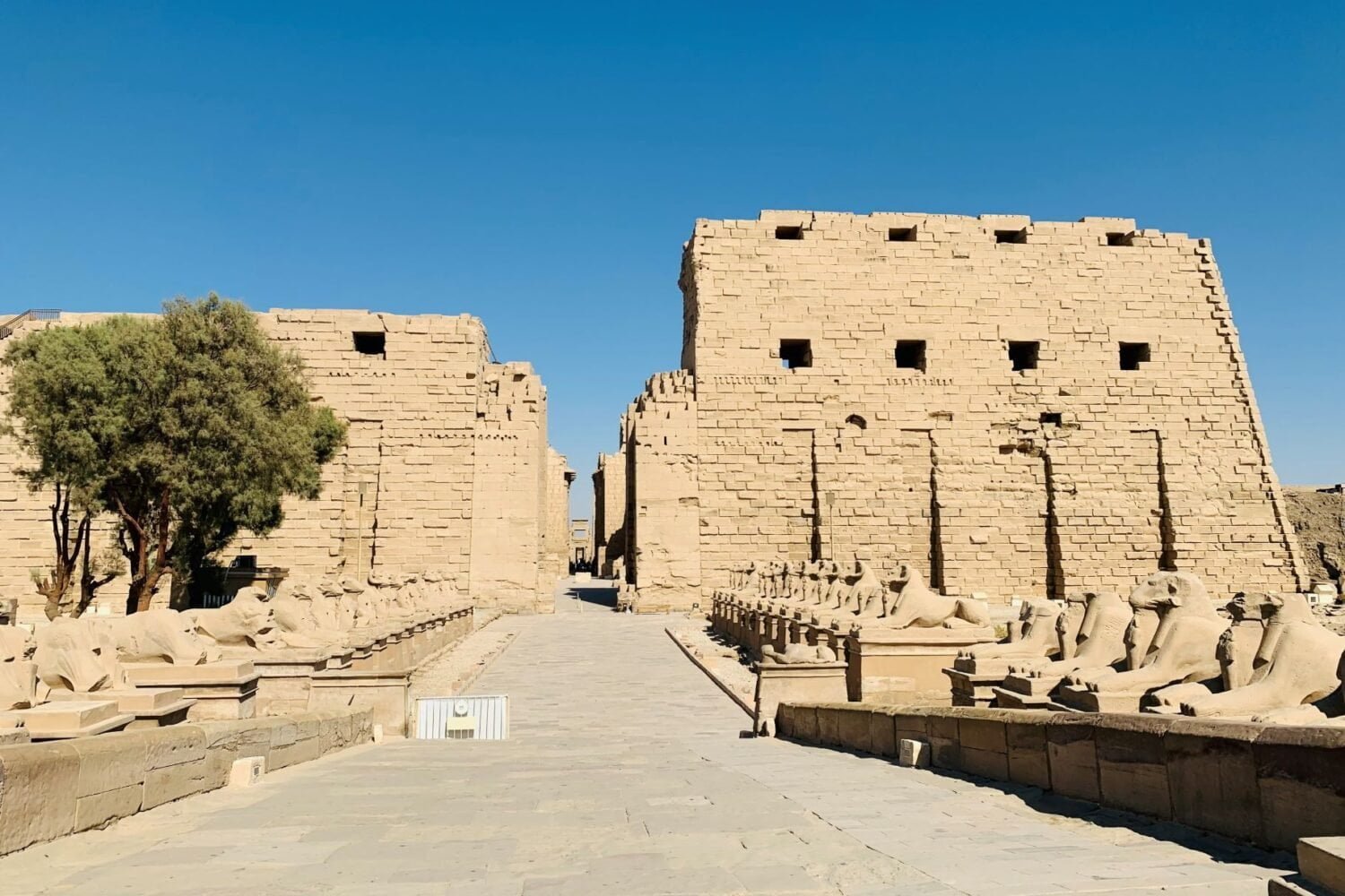 Luxor Day Tour From Port Safaga By Road