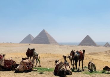 4 Day Egypt Solo Tour Cairo, Aswan And Abu Simbel