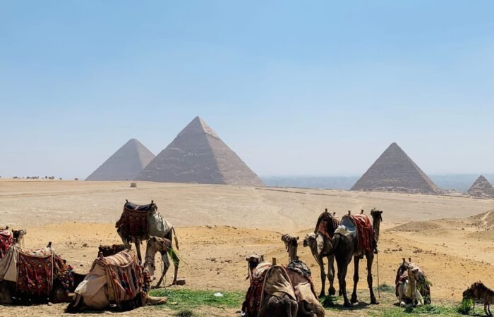 4 Day Egypt Solo Tour Cairo, Aswan And Abu Simbel