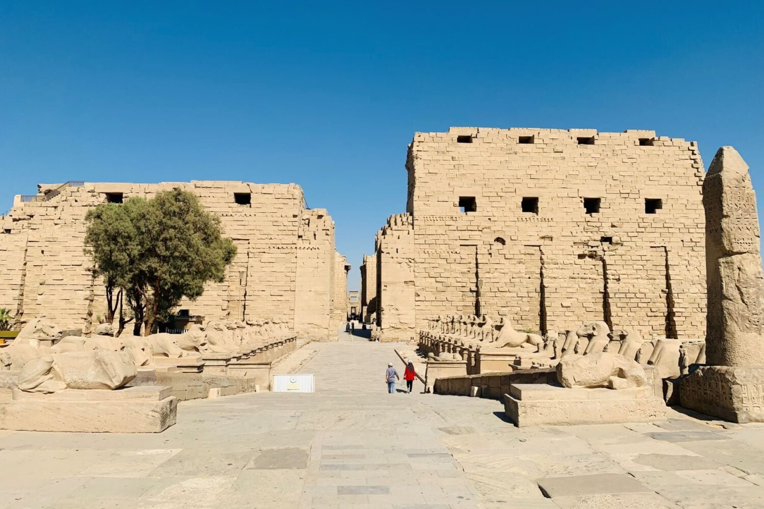 Half Day Tour To Karnak Temple And Luxor Temple