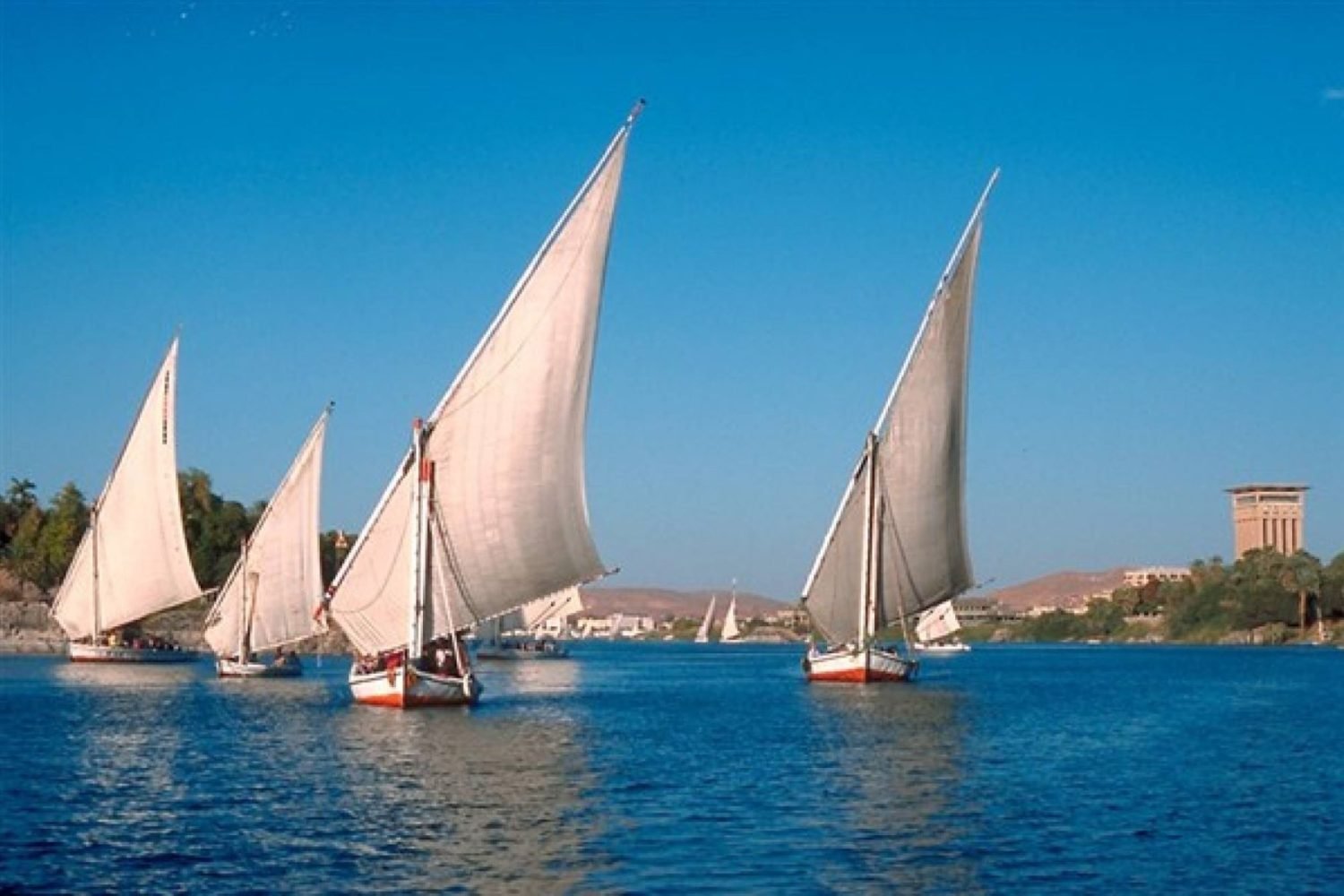 5 Day Felucca Cruise From Aswan To Edfu