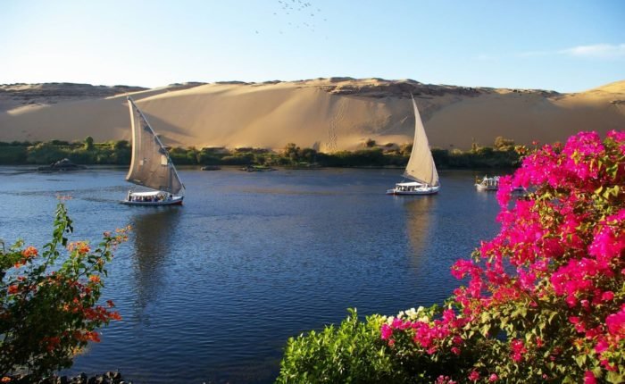 Felucca Ride To Botanical Island In Aswan