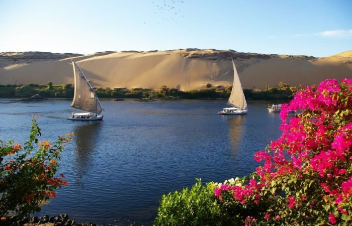 Felucca Ride To Botanical Island In Aswan