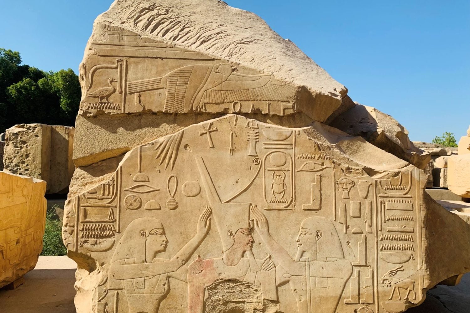 Egypt 12 Day Solo Tour From USA To Cairo, Alamein And Siwa Oasis