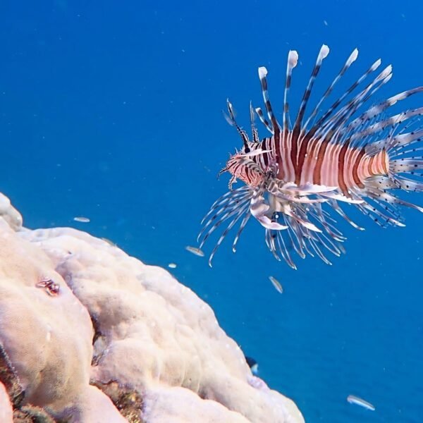 Marsa Alam Day Tours