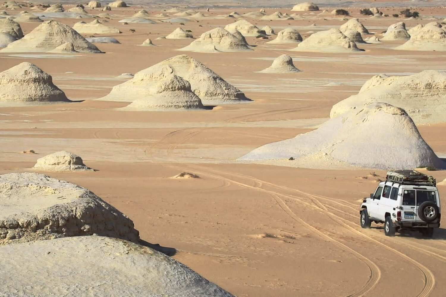 4 Days Journey To The White Desert From Cairo