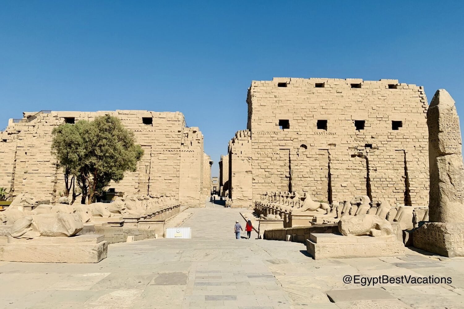 Egypt 5 Day Tour From USA To Cairo, Luxor And Aswan