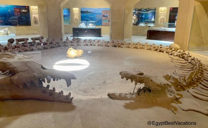 Tour To Wadi El-Hitan And Magic Lake From Cairo