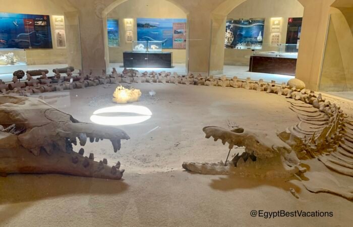 Tour To Wadi El-Hitan And Magic Lake From Cairo