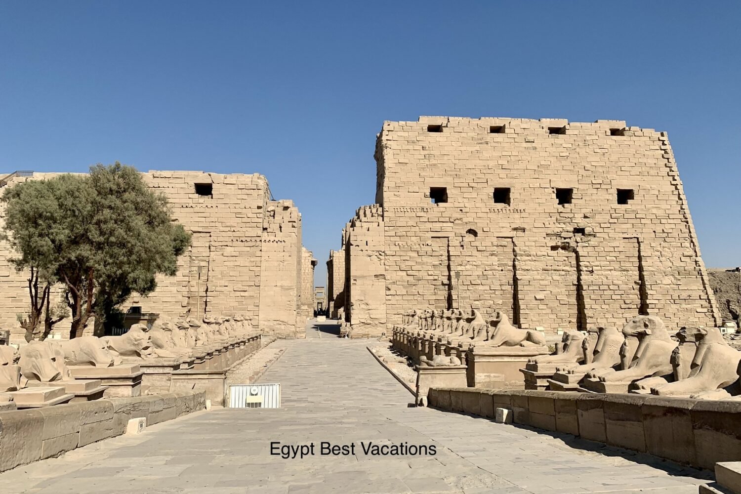 Cairo, Luxor & Aswan 5-Day Tour For Singles From Australia