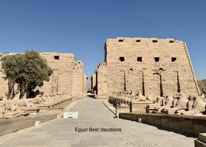 Cairo, Luxor & Aswan 5-Day Tour For Singles From Australia