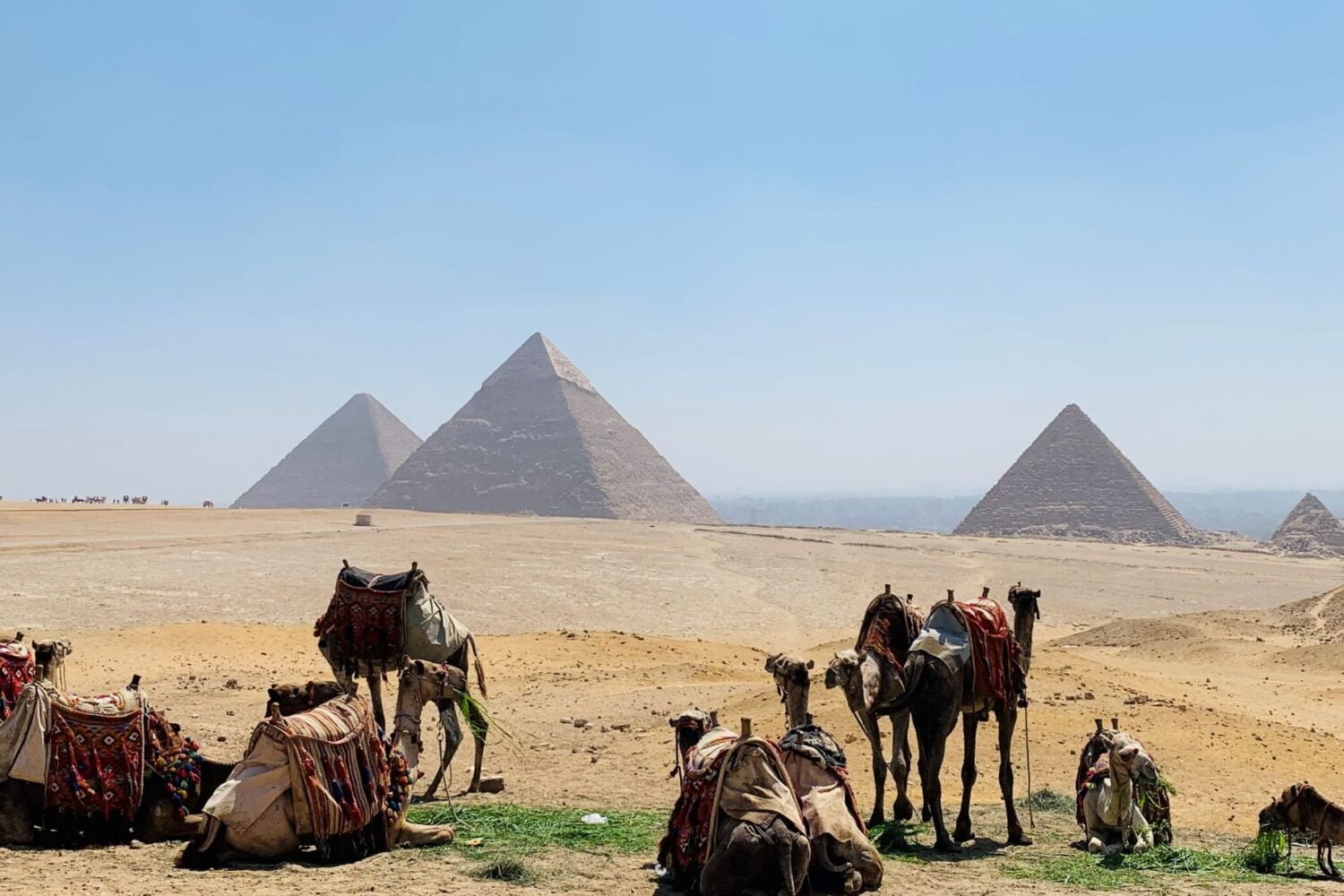 10 Days Egypt Tour From India