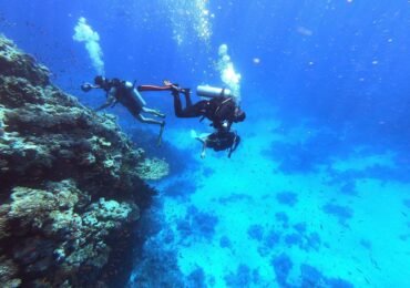 Sharm El-Sheikh Day Tours