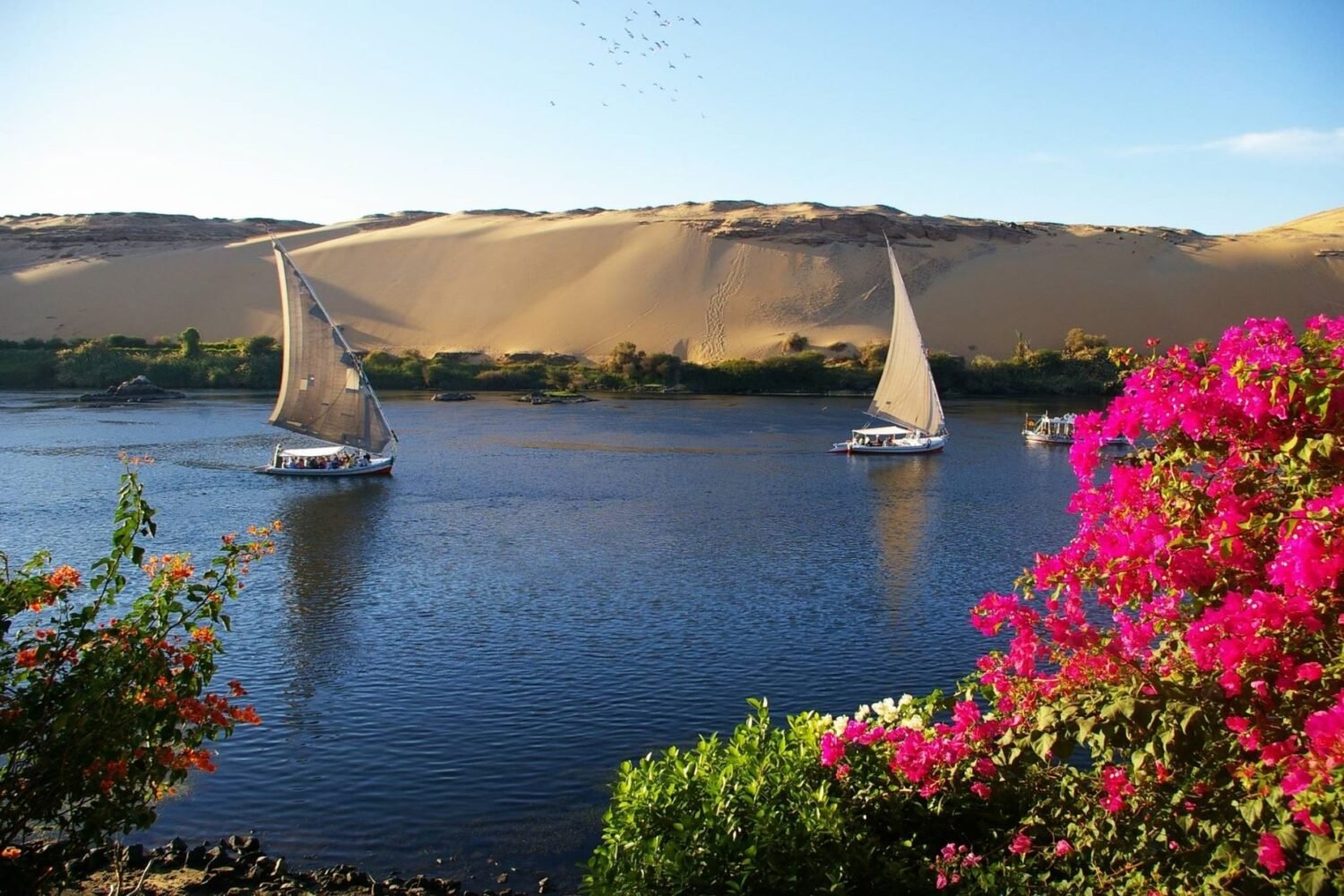15-Day Offbeat Egypt Travel Experience