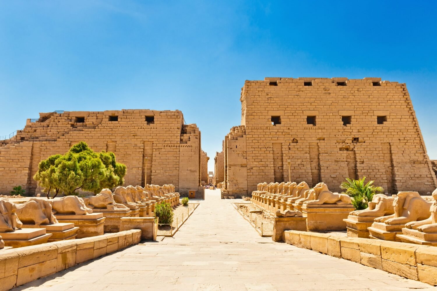 5-Day Egypt Luxury Vacation Package To Cairo, Luxor & Alexandria