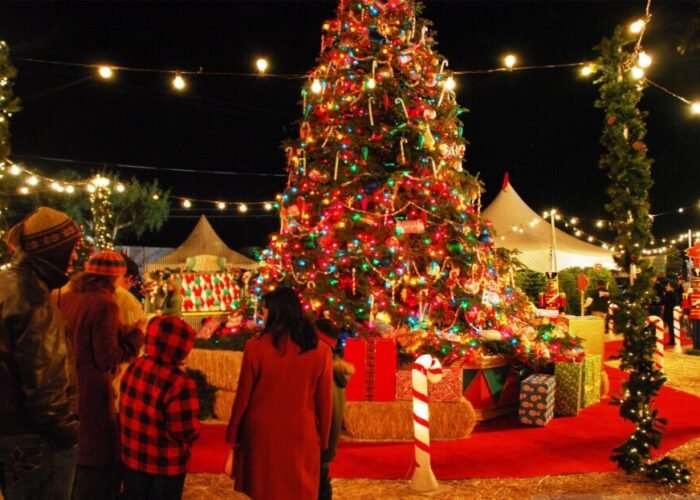 Egypt Christmas & New Year Celebrations Tours