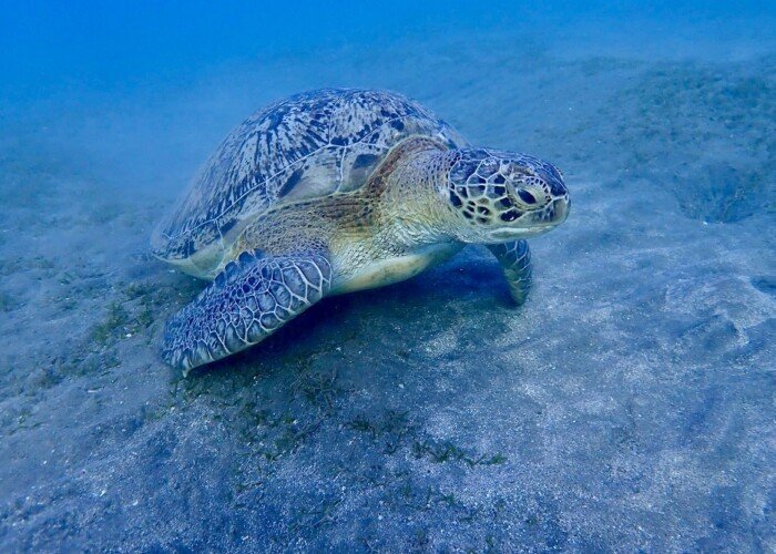 10 Days Egypt Tour - Cairo with Dahabiya and Hurghada