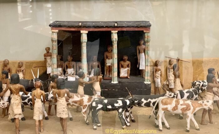 Egyptian Museum & National Museum of Egyptian Civilization Tour