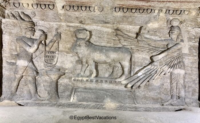 5 Day Cairo, Luxor, Alexandria Tour From Singapore