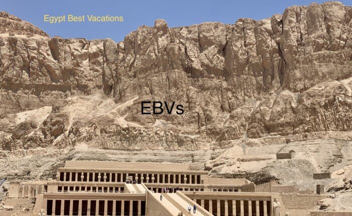 2027 Egypt Eclipse Tour 14 Days To Cairo, Nile Cruise & Red Sea