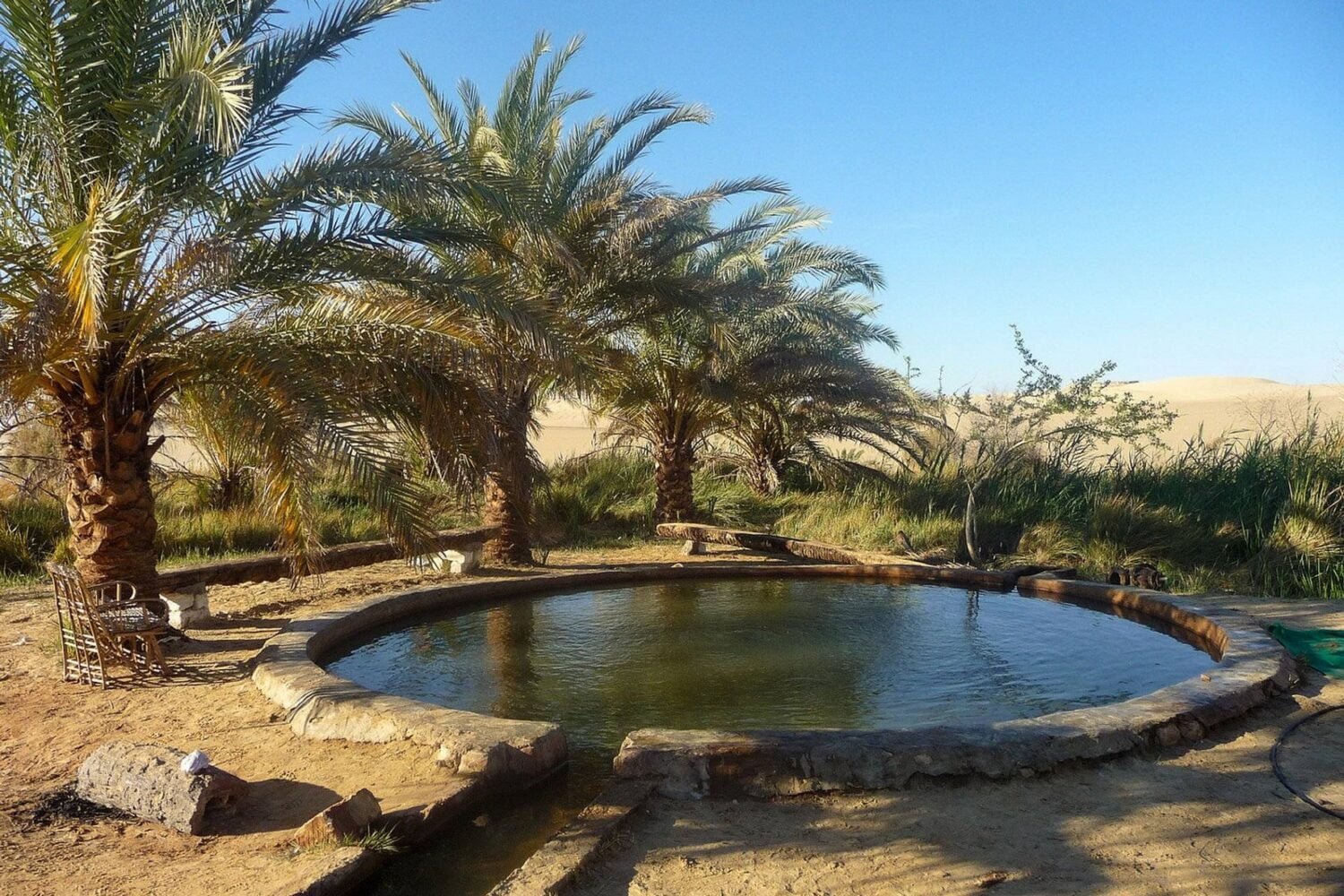 Siwa Tour For Singles: 5 Days in Cairo & Siwa Oasis