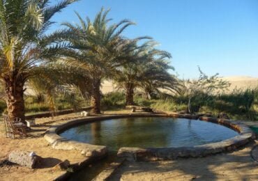 Siwa Tour For Singles: 5 Days in Cairo & Siwa Oasis