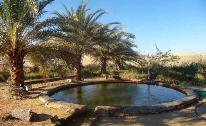 Siwa Tour For Singles: 5 Days in Cairo & Siwa Oasis