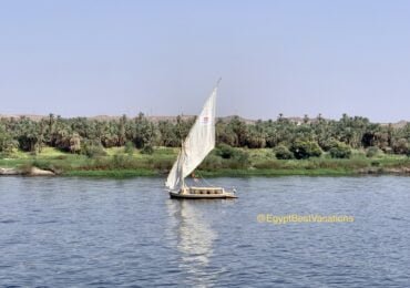 7 Days Cairo & Felucca Cruise Trip For Singles From Australia