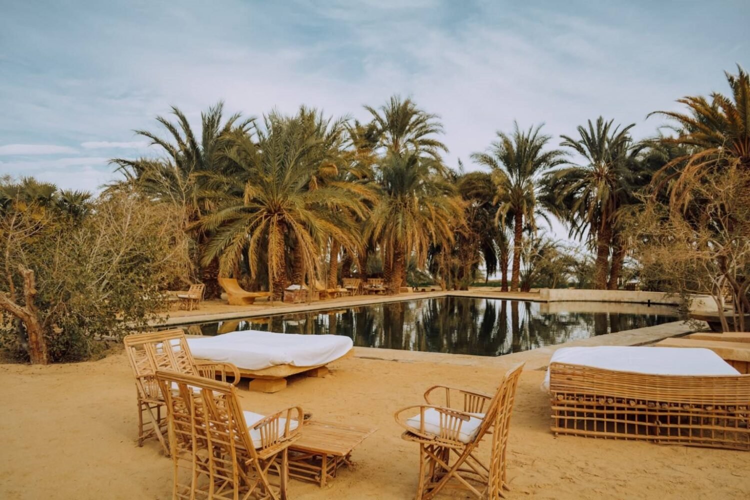 6 Day Cairo & Siwa Oasis Solo Trip From Netherlands