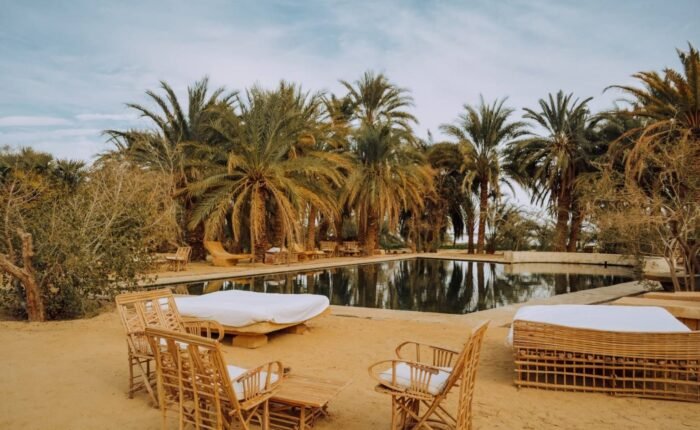 6 Day Cairo & Siwa Oasis Solo Trip From Netherlands