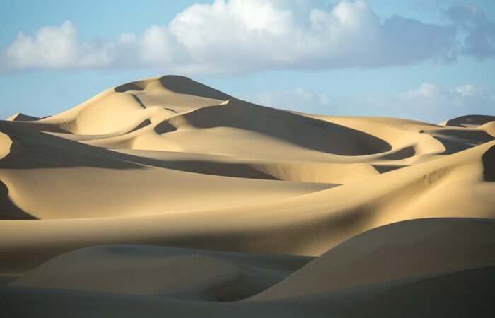 7 Day Siwa Oasis Tour For Solo Travelers