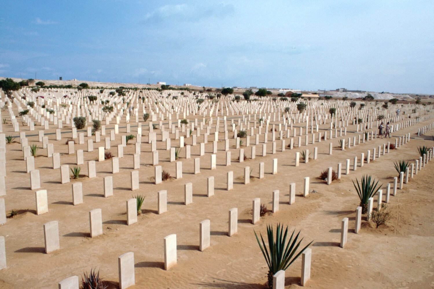 El-Alamein Day Tour To World War II Cemetery & More