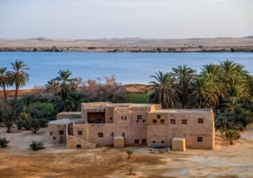 7 Day Cairo & Siwa Oasis Solo Tour From Netherlands