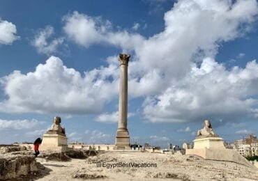 Alexandria Day Tour From El-Alamein