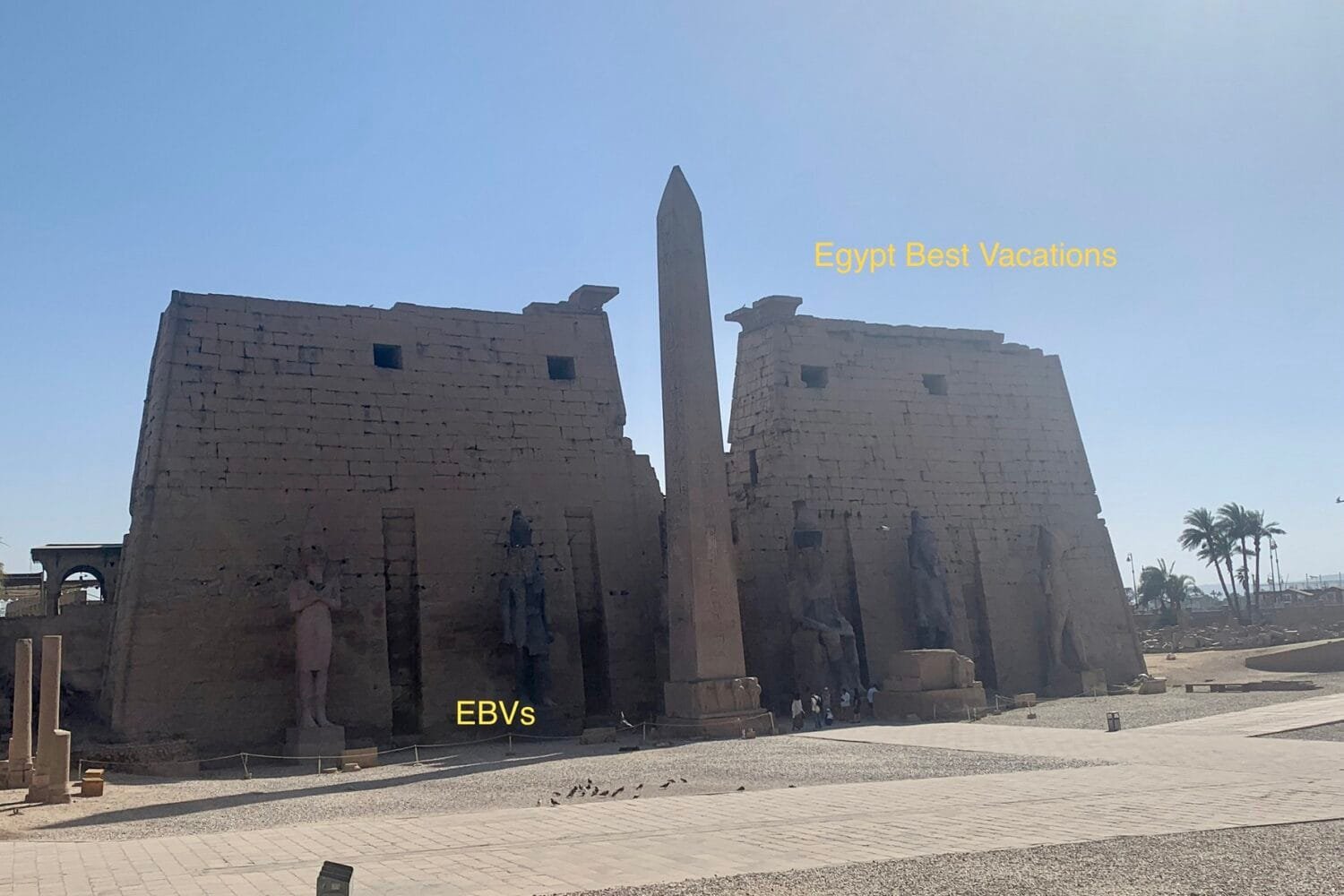 5 Day Cairo, Alexandria & Luxor Holiday From South Africa