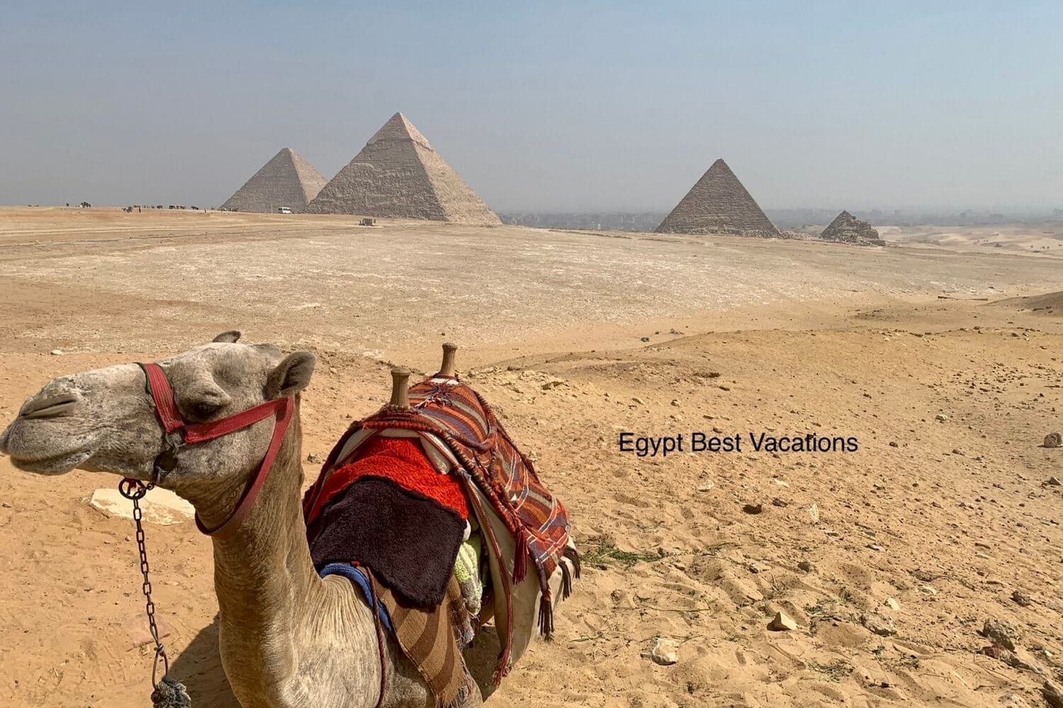 Best 13 Day Egypt Itinerary From Singapore