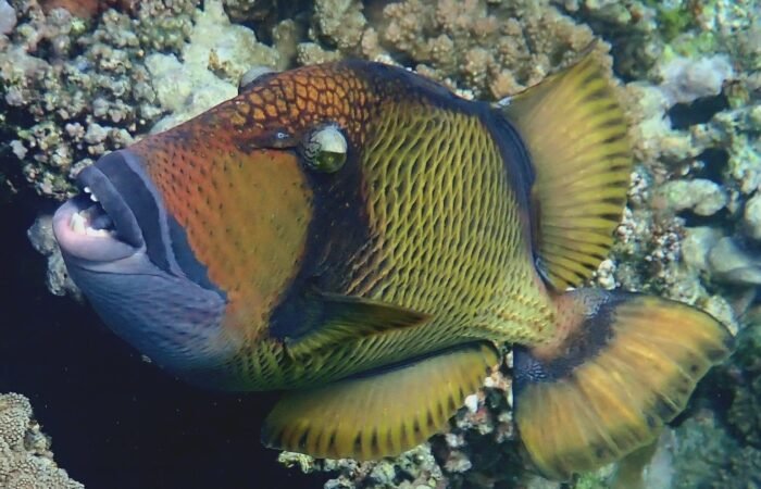 7 Day Cairo & Sharm El-Sheikh Slow Holiday