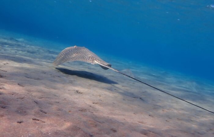 7 Day Family Vacations To Egypt: Cairo & Sharm El-Sheikh