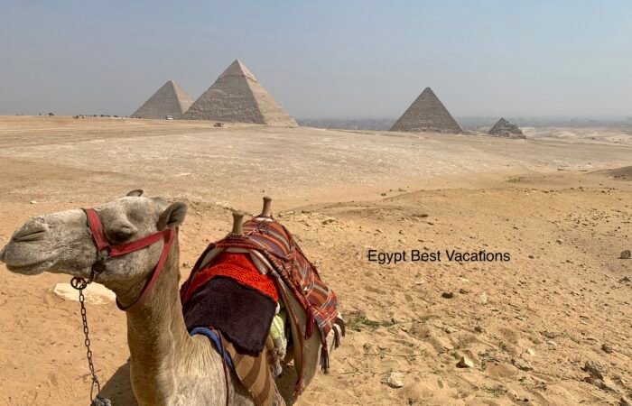 Best Places to visit in Egypt during Christmas