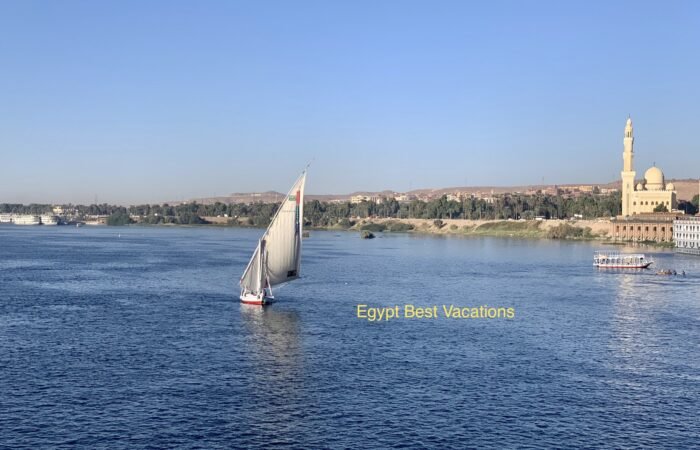 Exploring the Charm of Felucca Boats