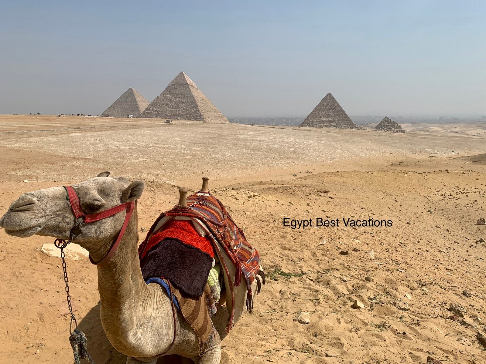 Top 5 Cairo Day Trips You Can't Miss