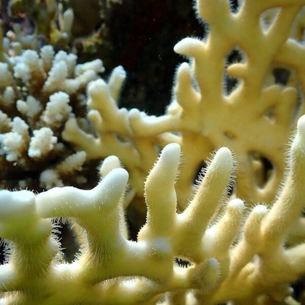 Hurghada Day Tours