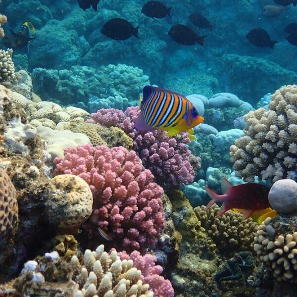 Sharm El-Sheikh Day Tours